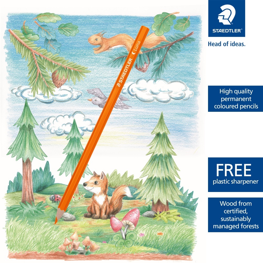 Staedtler Luna Coloured Pencils - Image 3